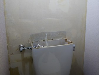 Before画像